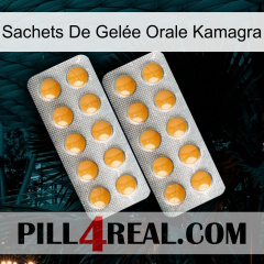 Sachets De Gelée Orale Kamagra levitra2